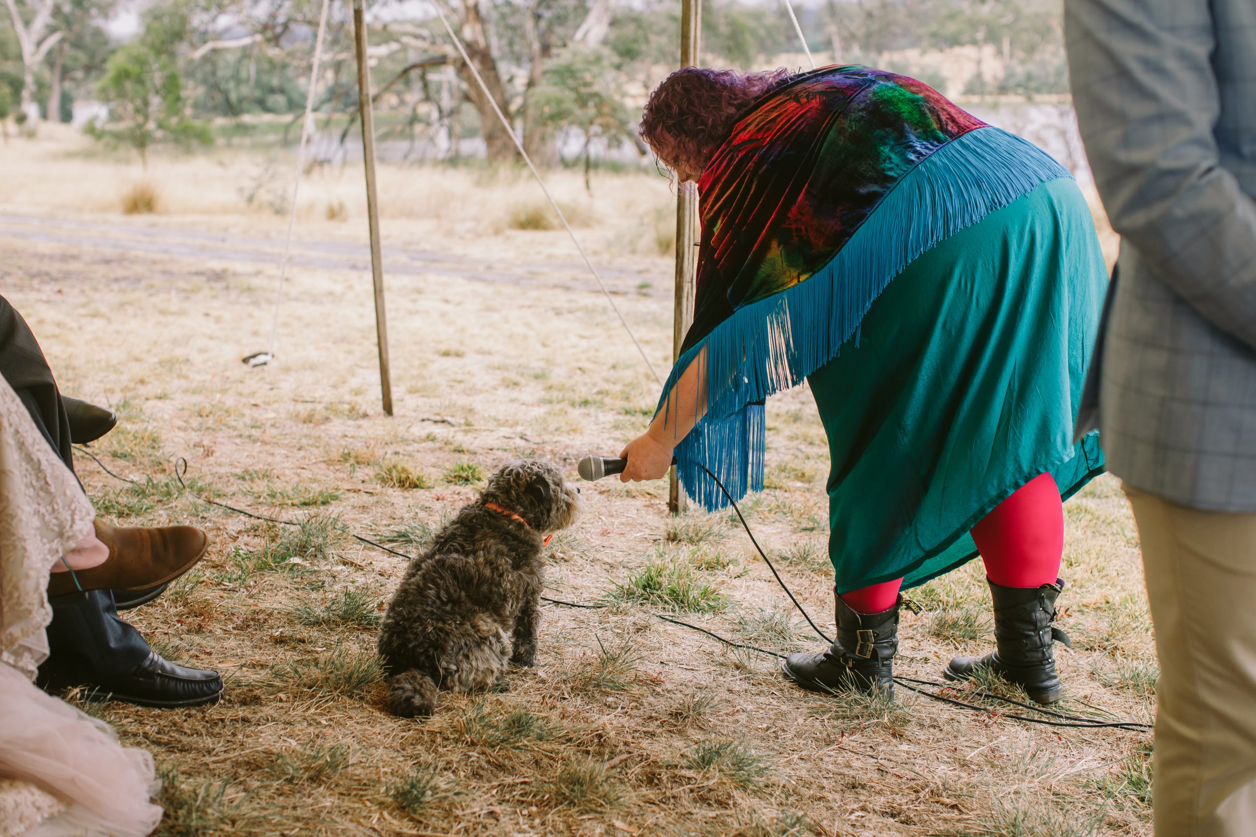 a fat person with curly purple hair is facing 10 o’clock, leaning down and holding a microphone out to a small shaggy grey dog